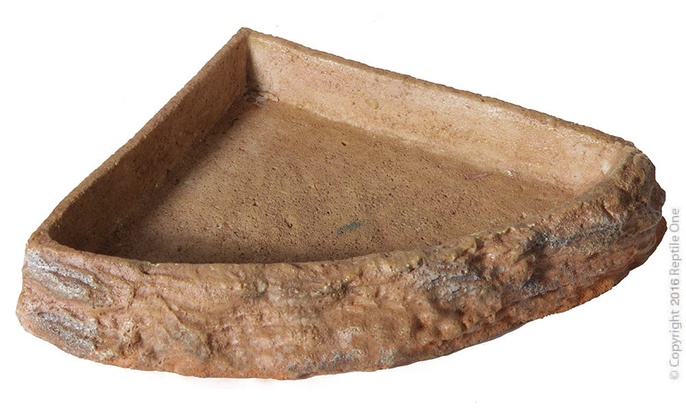 Reptile corner Bowls
