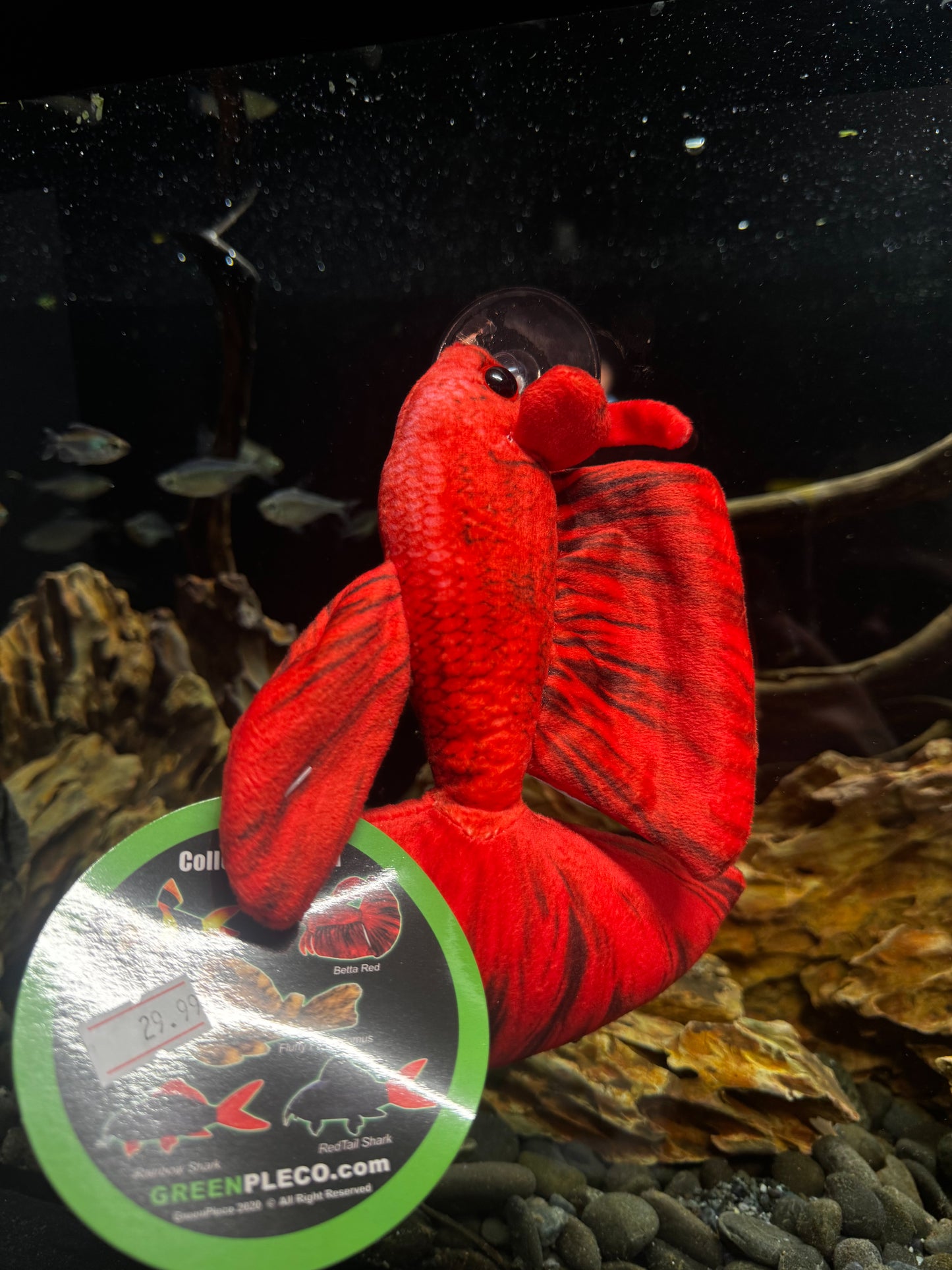 Red Betta Plushy