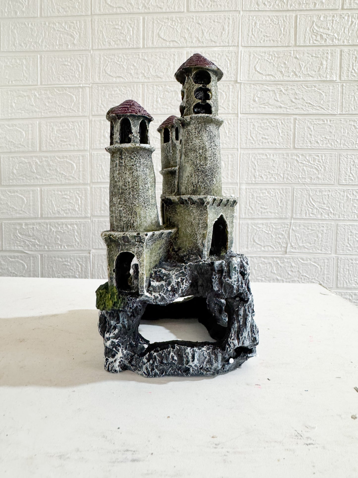 Abandoned Castle