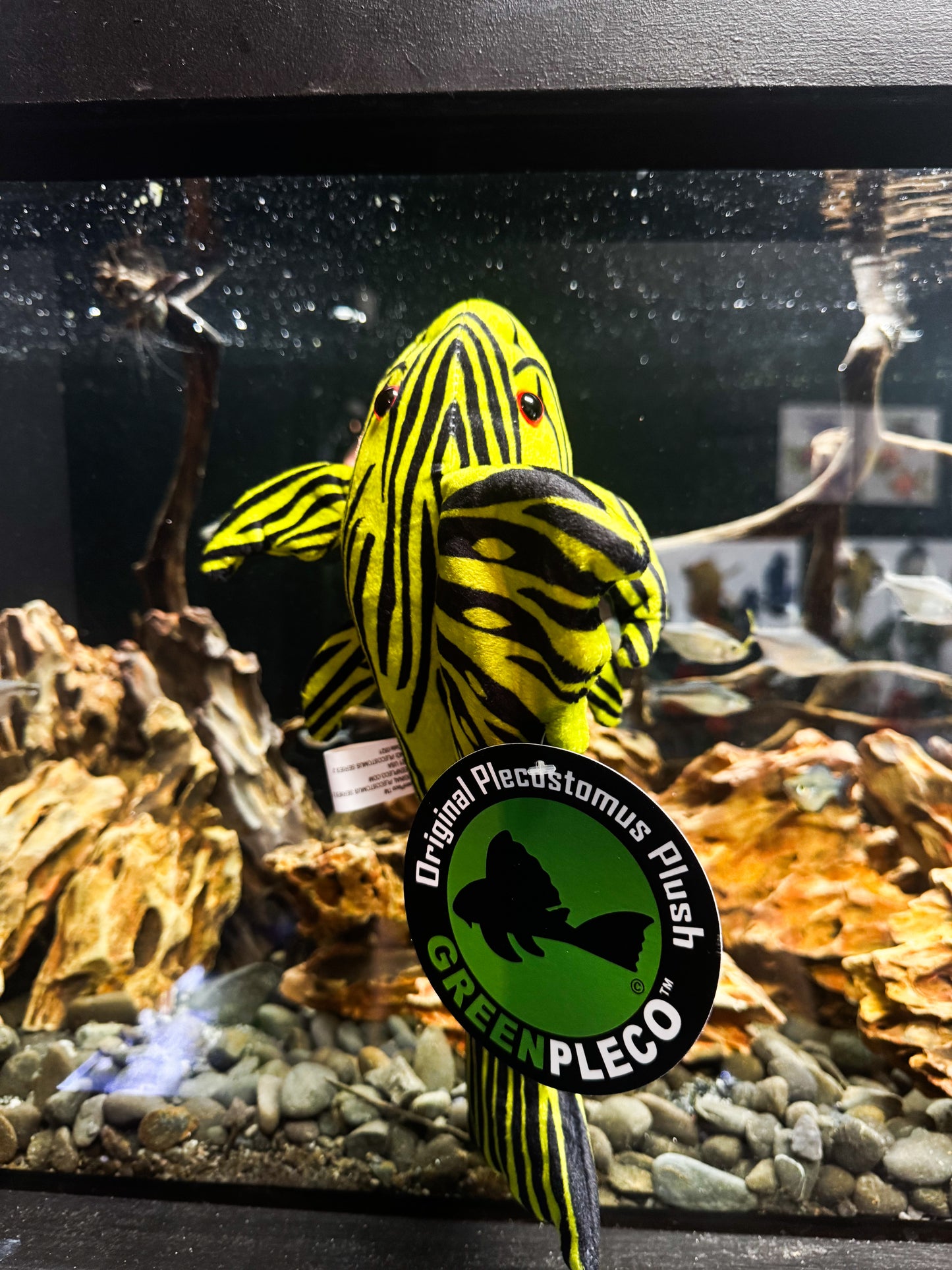 Royal Pleco Plushy