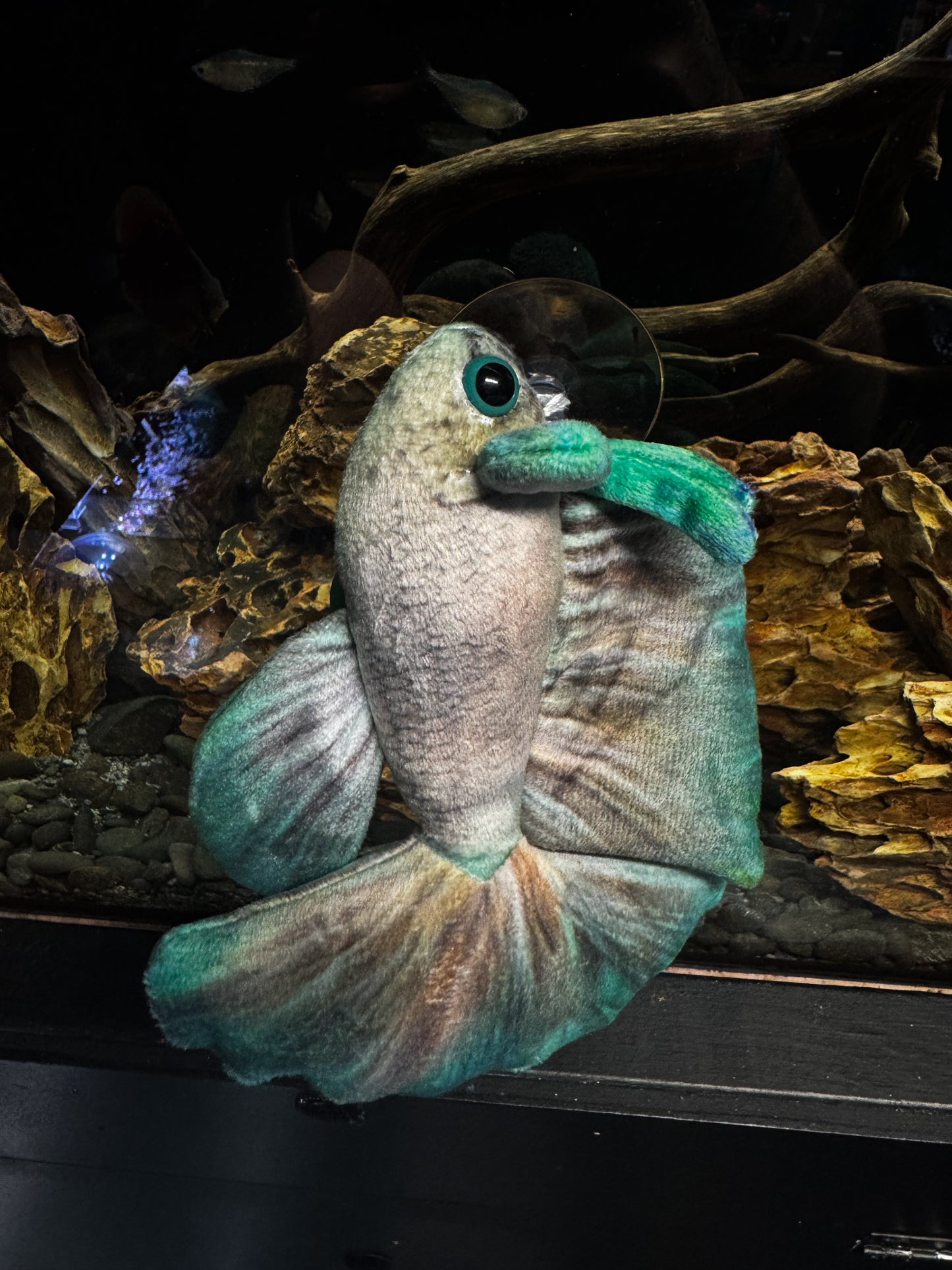 Jade Betta Plushy