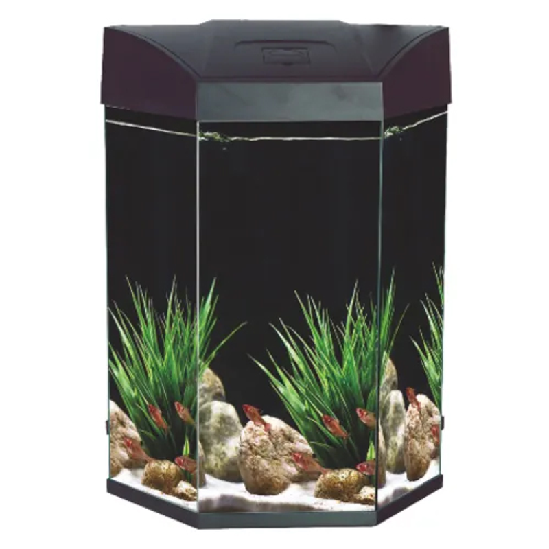 AA Hex Aquarium 70L - Black