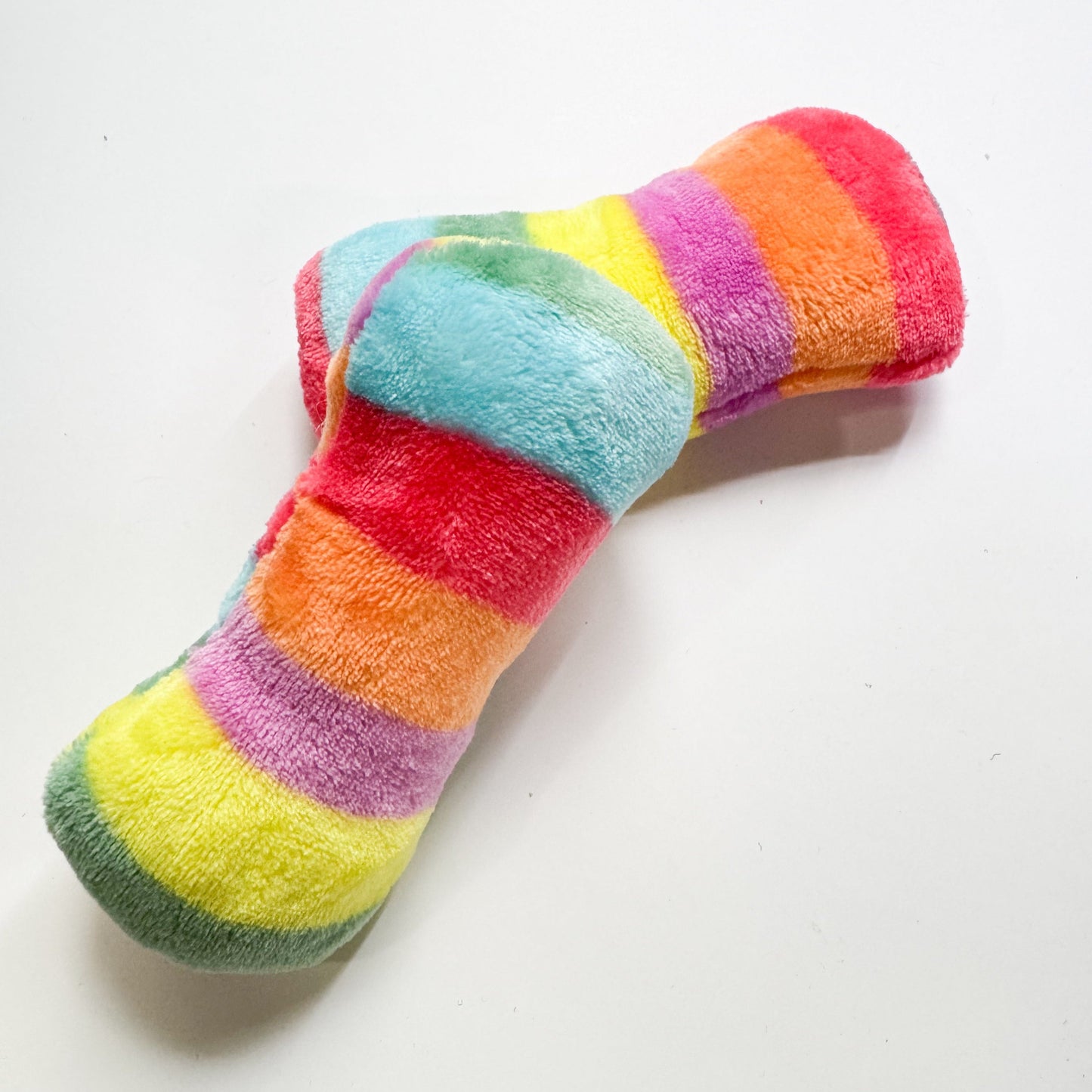 Small Dog Rainbow Bone Toy
