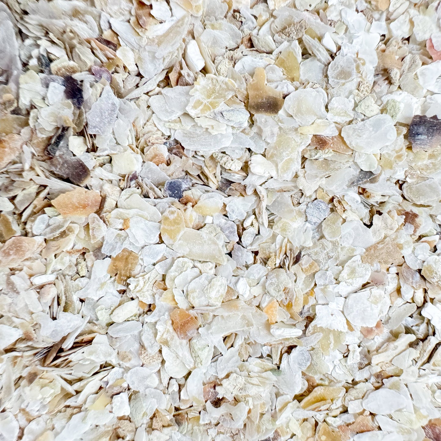 Bird Grit