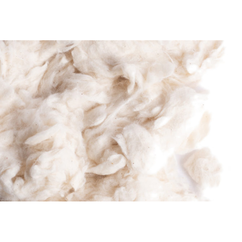 Sisal Fibre Cotton