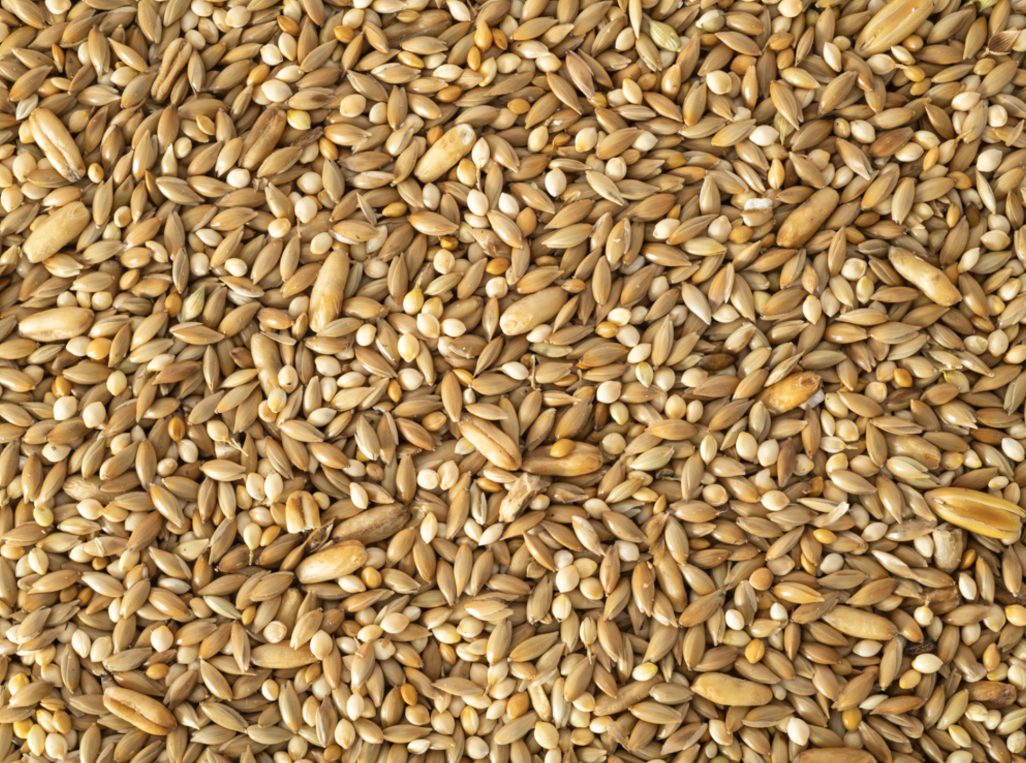 Topflite Budgie Seed Mix