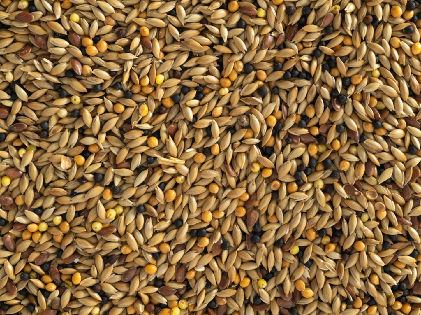Topflite Canary Mix 1kg
