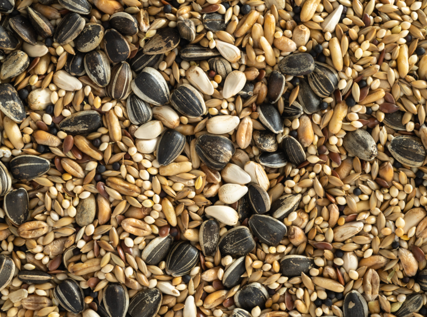Topflite Cockatiel Seed Mix