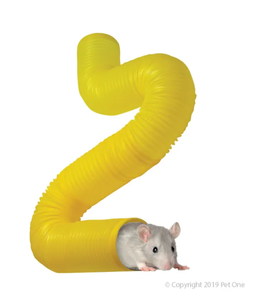Pet One Mouse Maze