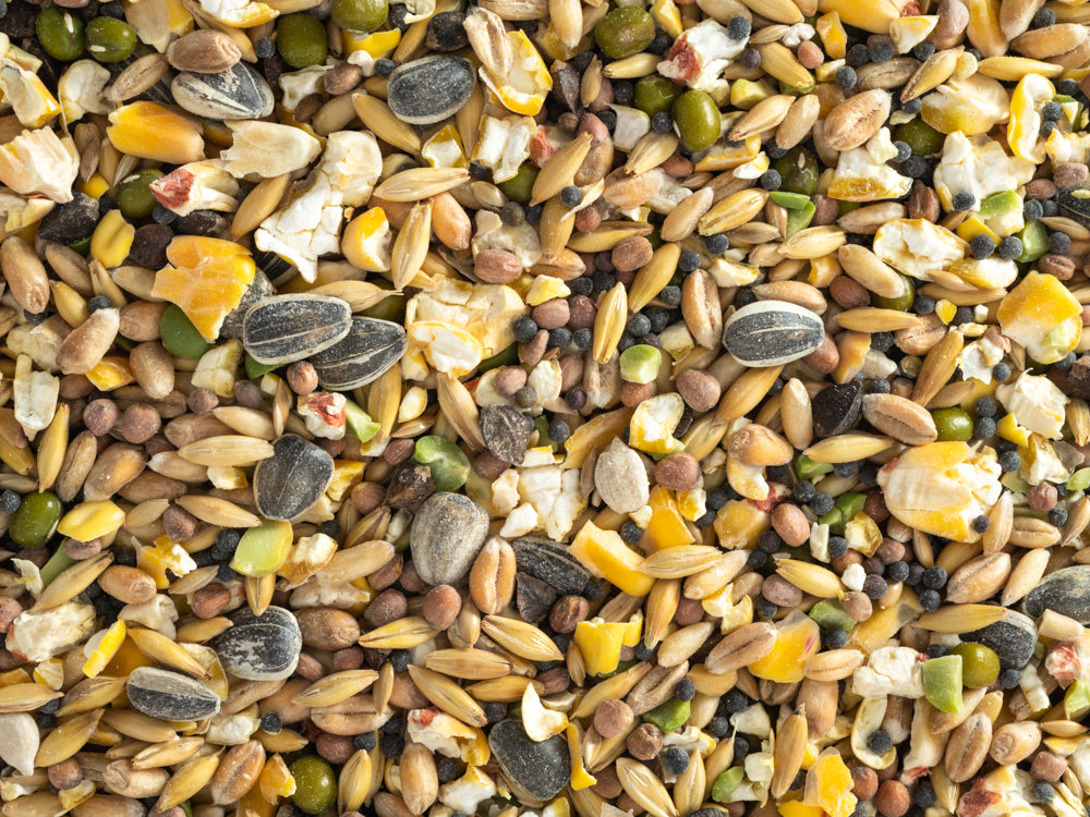 Topflite Soak & Sprout Seed Mix 20kg