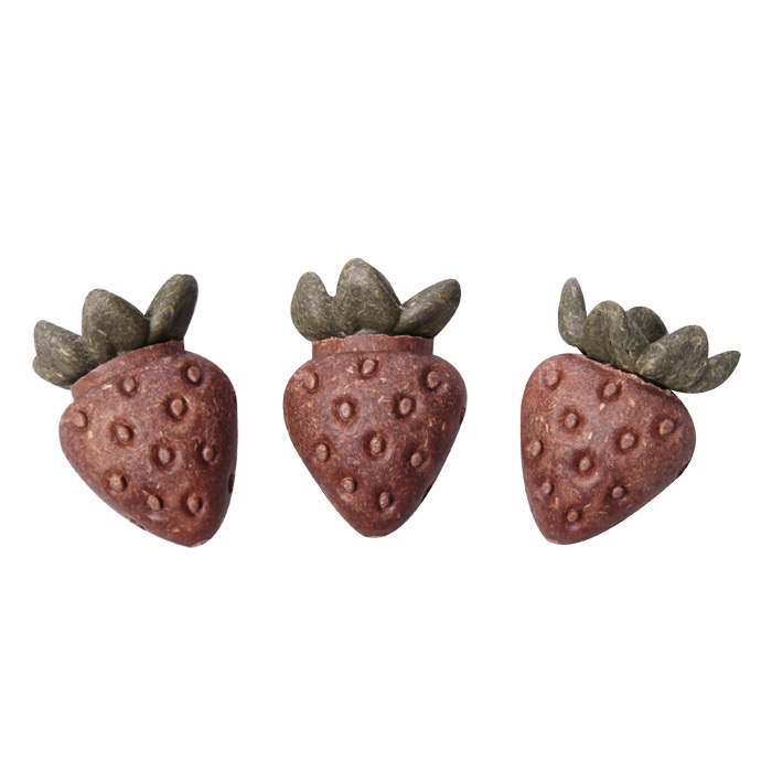 small animal treats