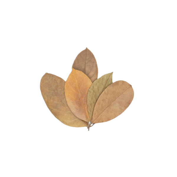 Botanicals