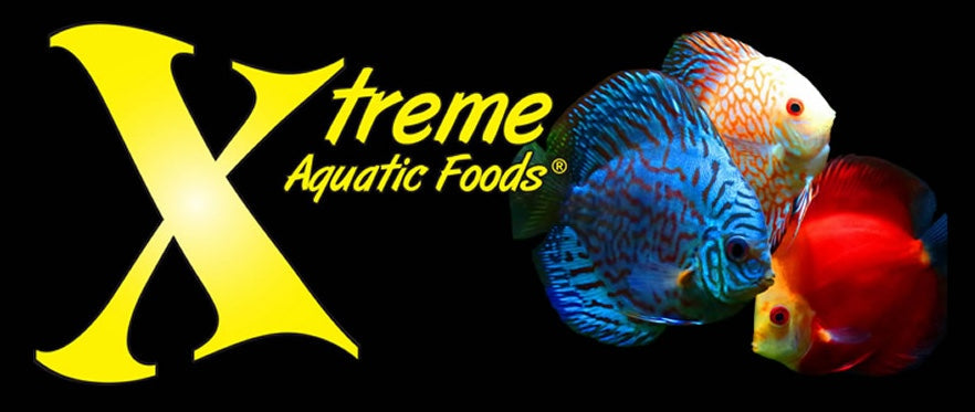 xtreme