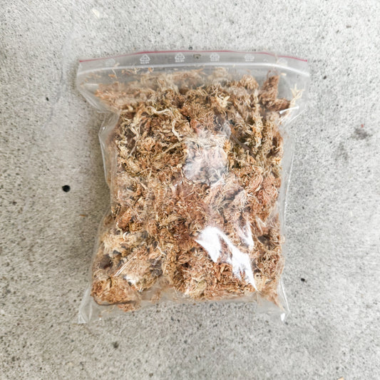 Spag moss