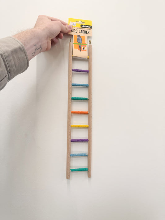 Avi One Bird Ladder