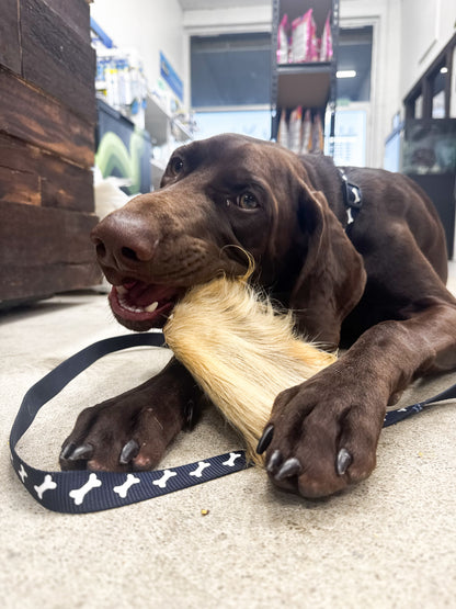 Beef Ears With Fur