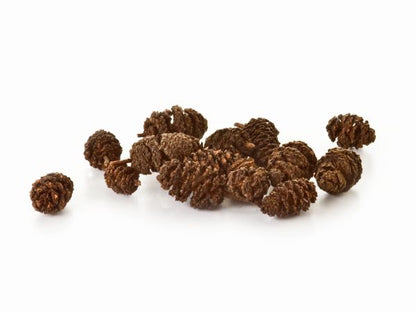 Sera Alder Cones 50 Pack