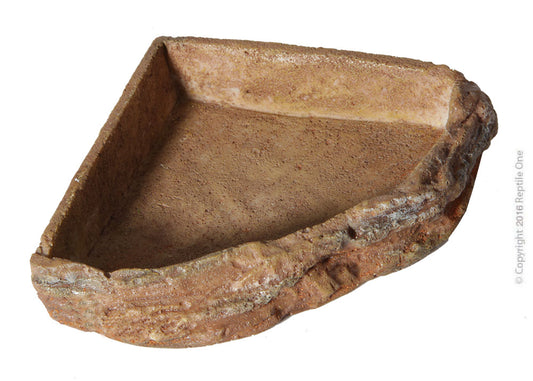 Reptile corner Bowls