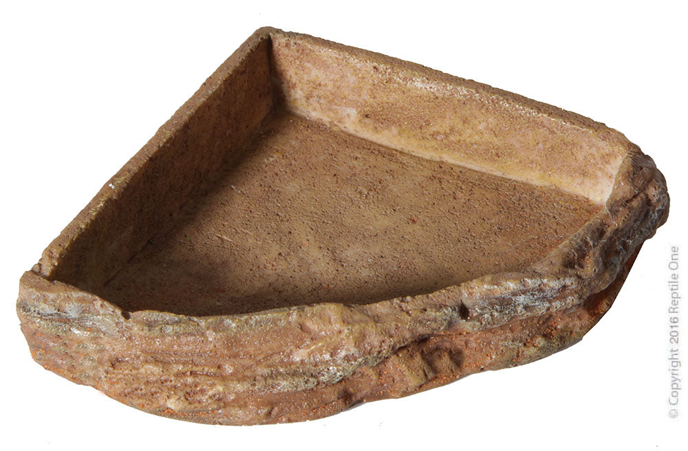 Reptile corner Bowls