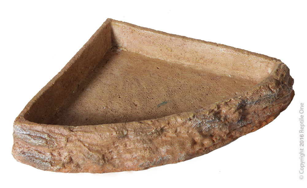 Reptile corner Bowls