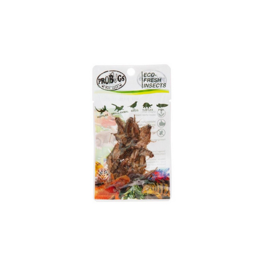 Pro Bugs Eco-Fresh Crickets 6g