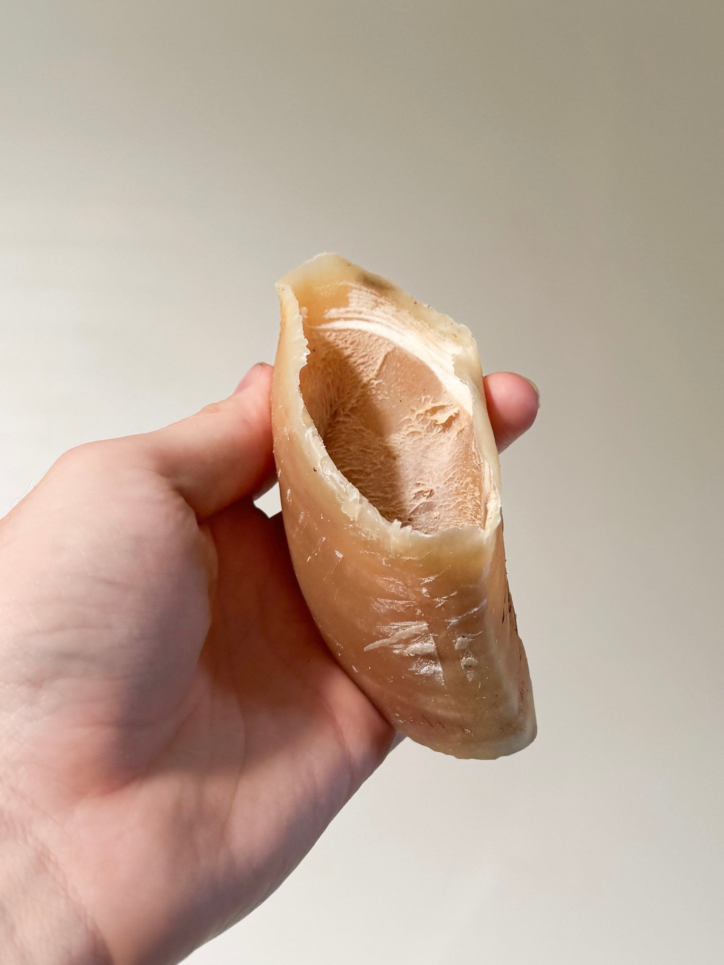 Beef Hooves