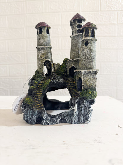 Abandoned Castle