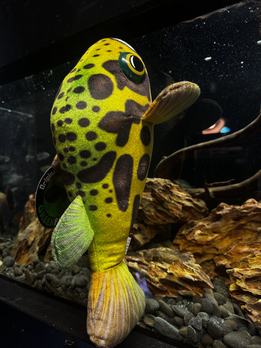 Green Spotted Puffer Plushy