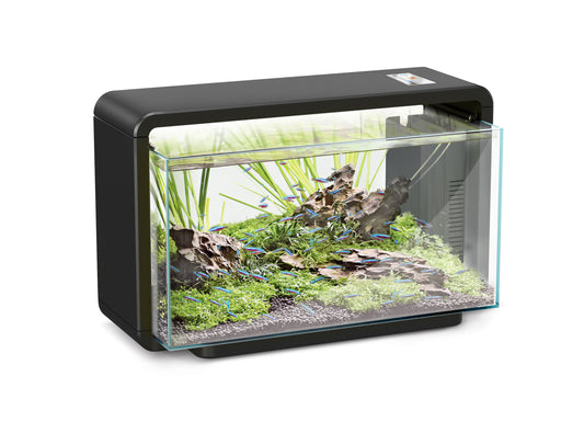 Hailea Aquarium 25L – Black