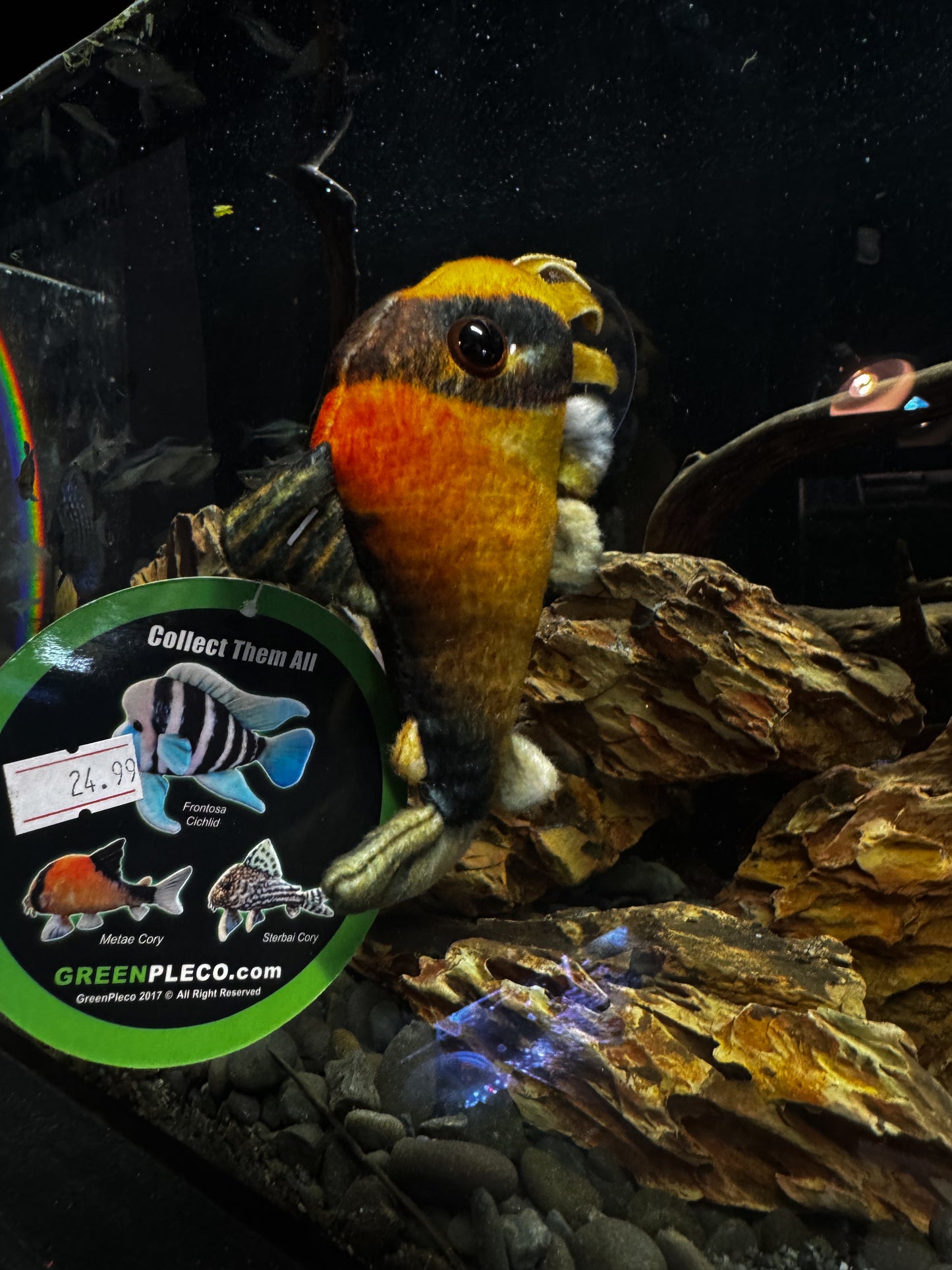 Bandit Cory Plushy