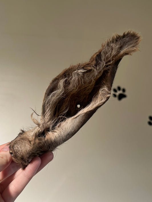 Venison ears (With Fur)