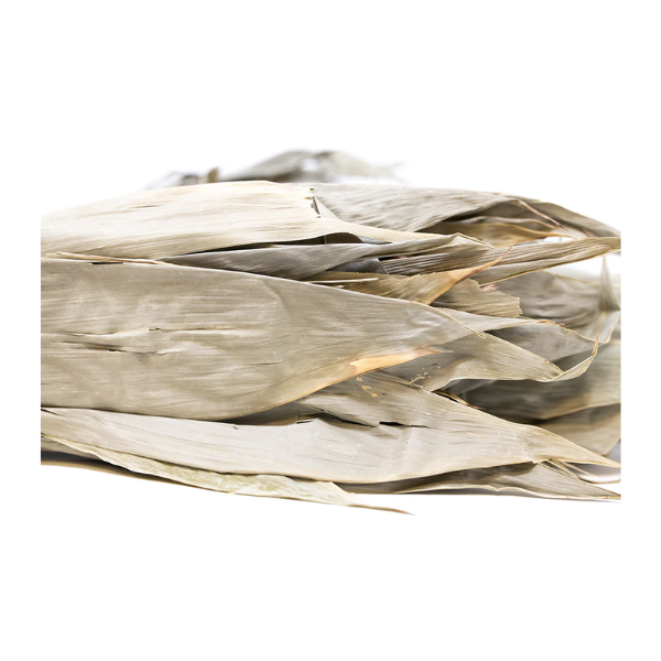 Bamboo Leaves 10-pk