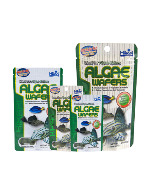 Hikari Tropical Algae Wafer Sinking