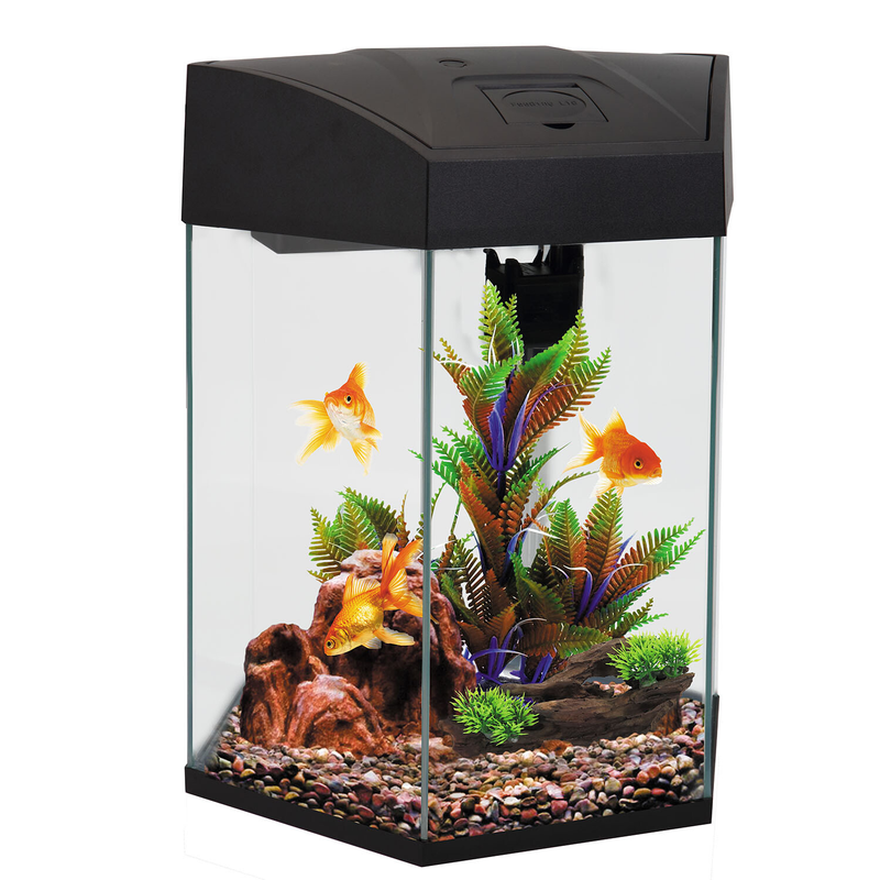 AA Hex Aquarium 20L
