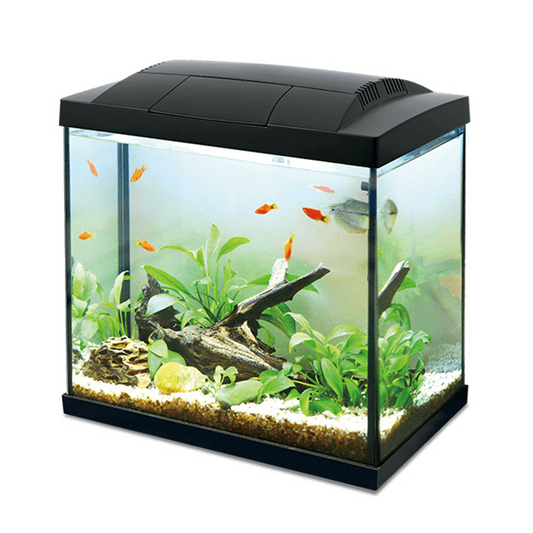 Hailea K30 LED Aquarium 30L
