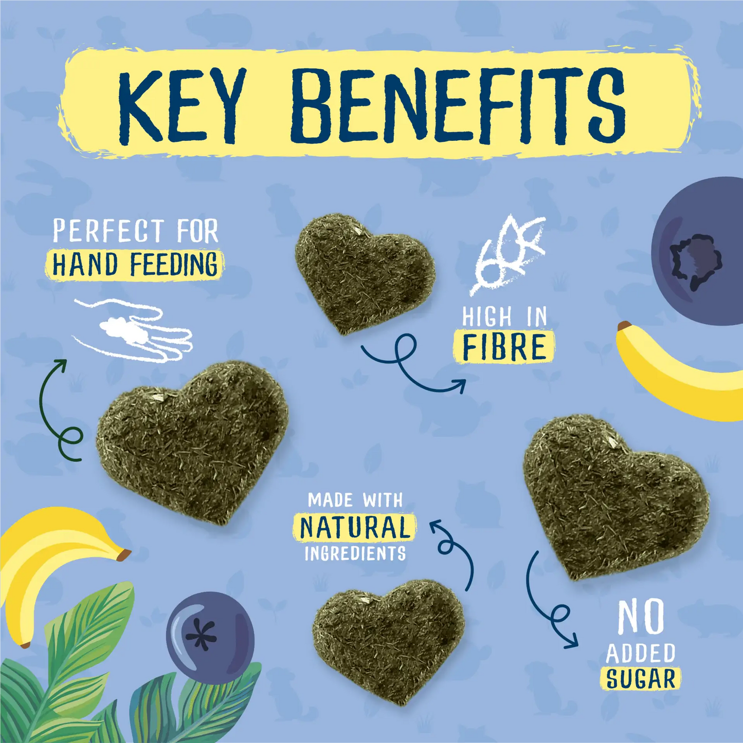 Excel Fruity Feasts Treats 60gm