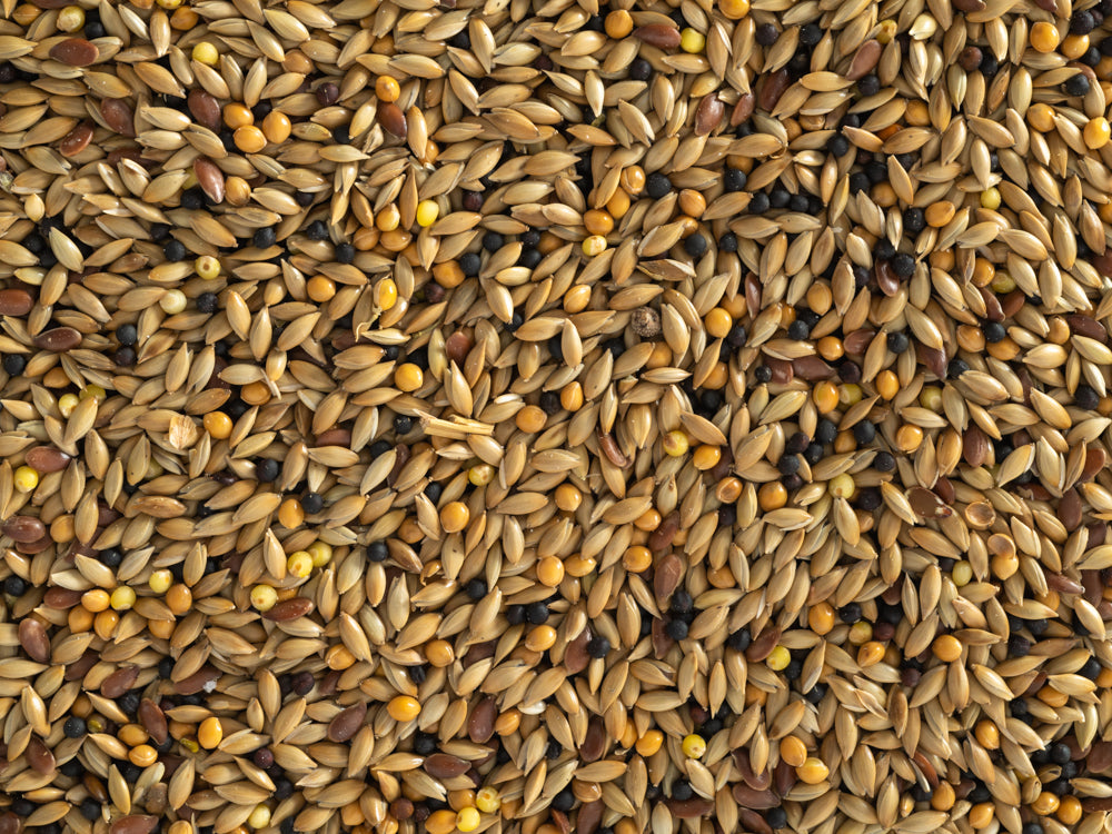 Topflite Canary Seed 1kg