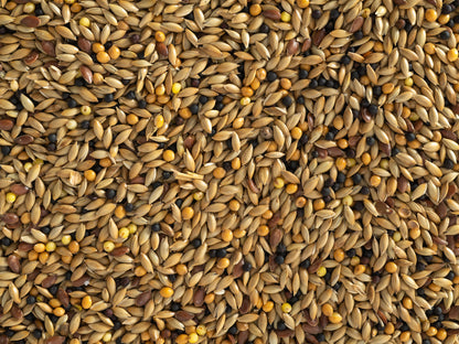 Topflite Canary Seed 1kg