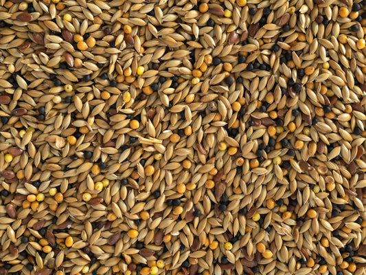 Topflite Canary Seed 1kg