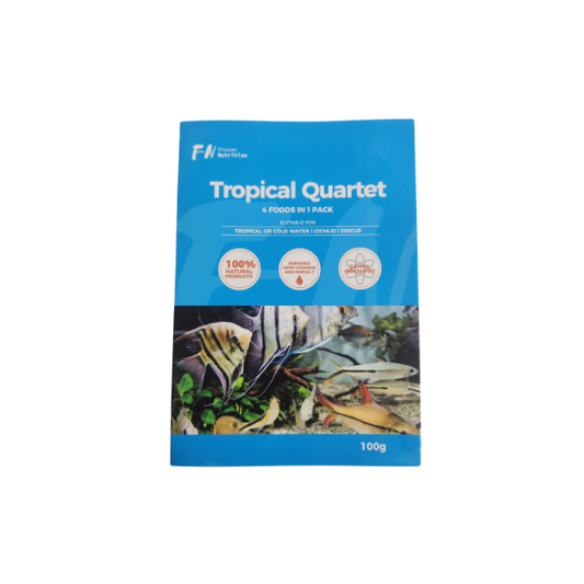 Tropical Quartet