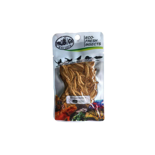 Pro Bugs Eco-Fresh Mealworm 20g