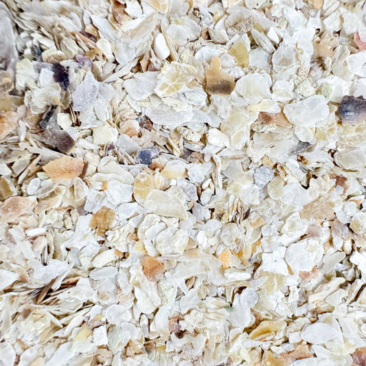 Bird Grit