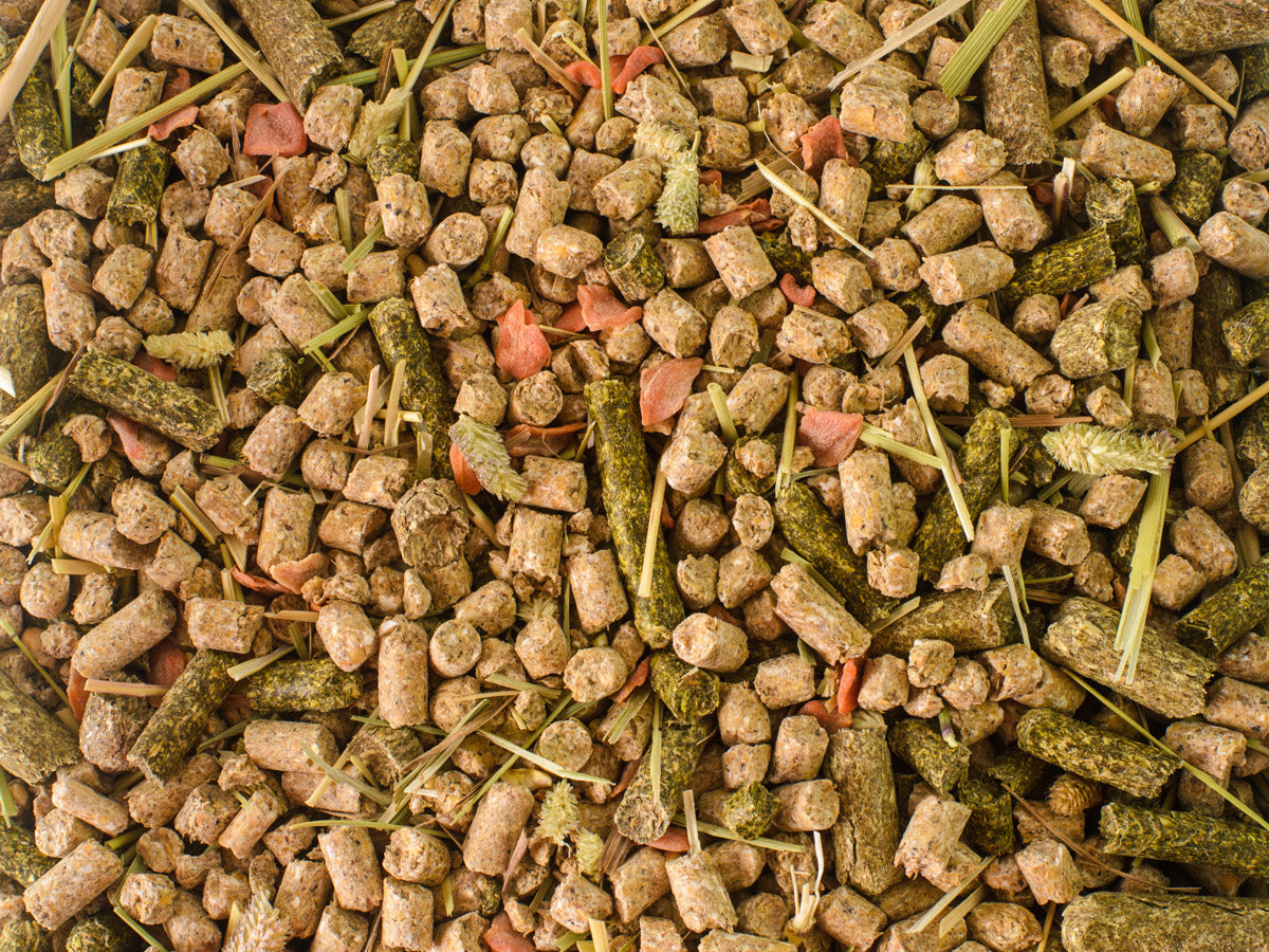 Topflite Rabbit & Guinea Pig Mix 2kg