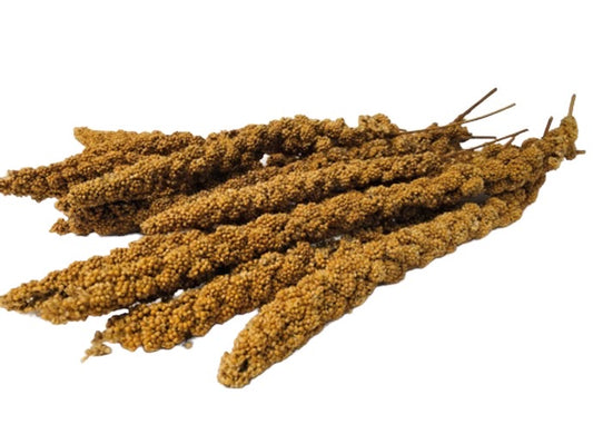 Millet Spray 20pk