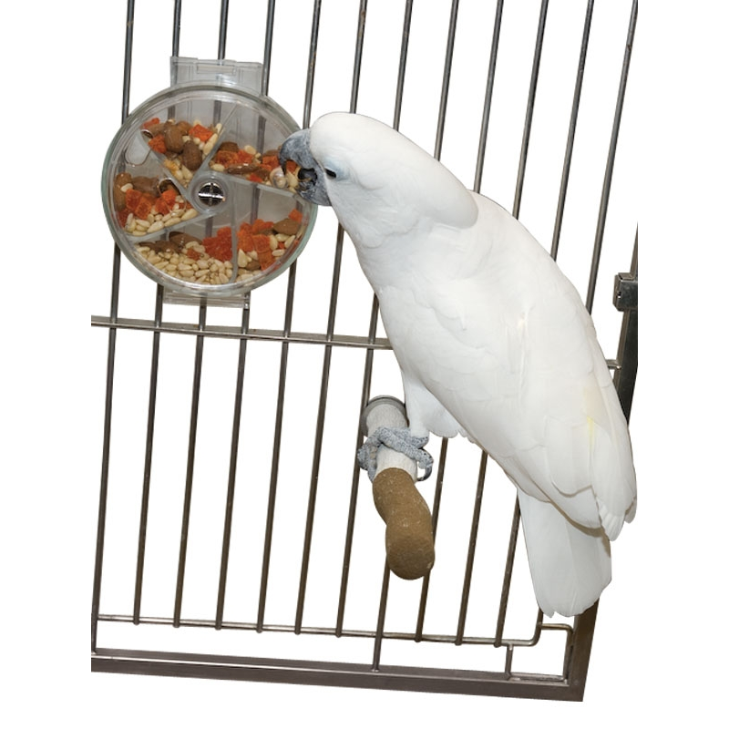 Foraging Wheel