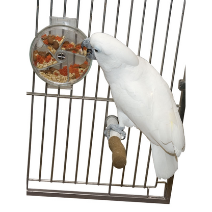 Foraging Wheel