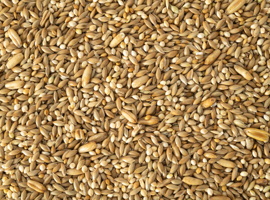 Topflite Budgie Seed Mix