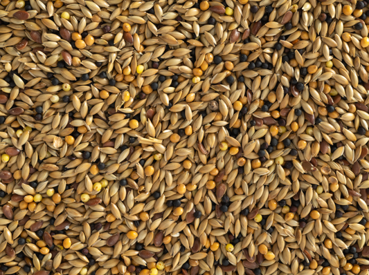 Topflite Canary Mix 1kg