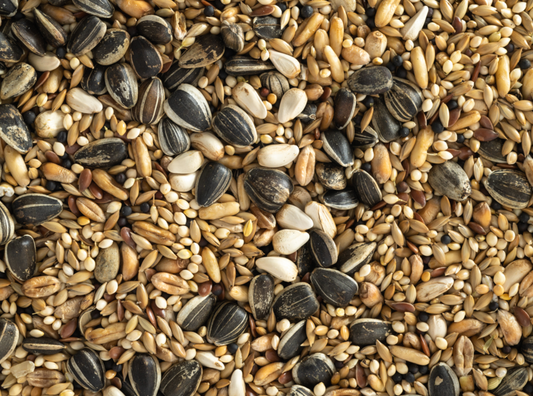 Topflite Cockatiel Seed Mix