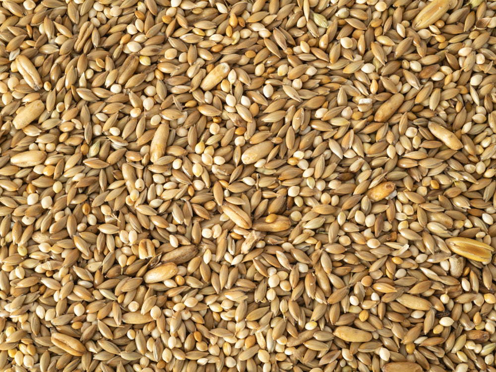 Topflite Budgie Seed Mix 2kg
